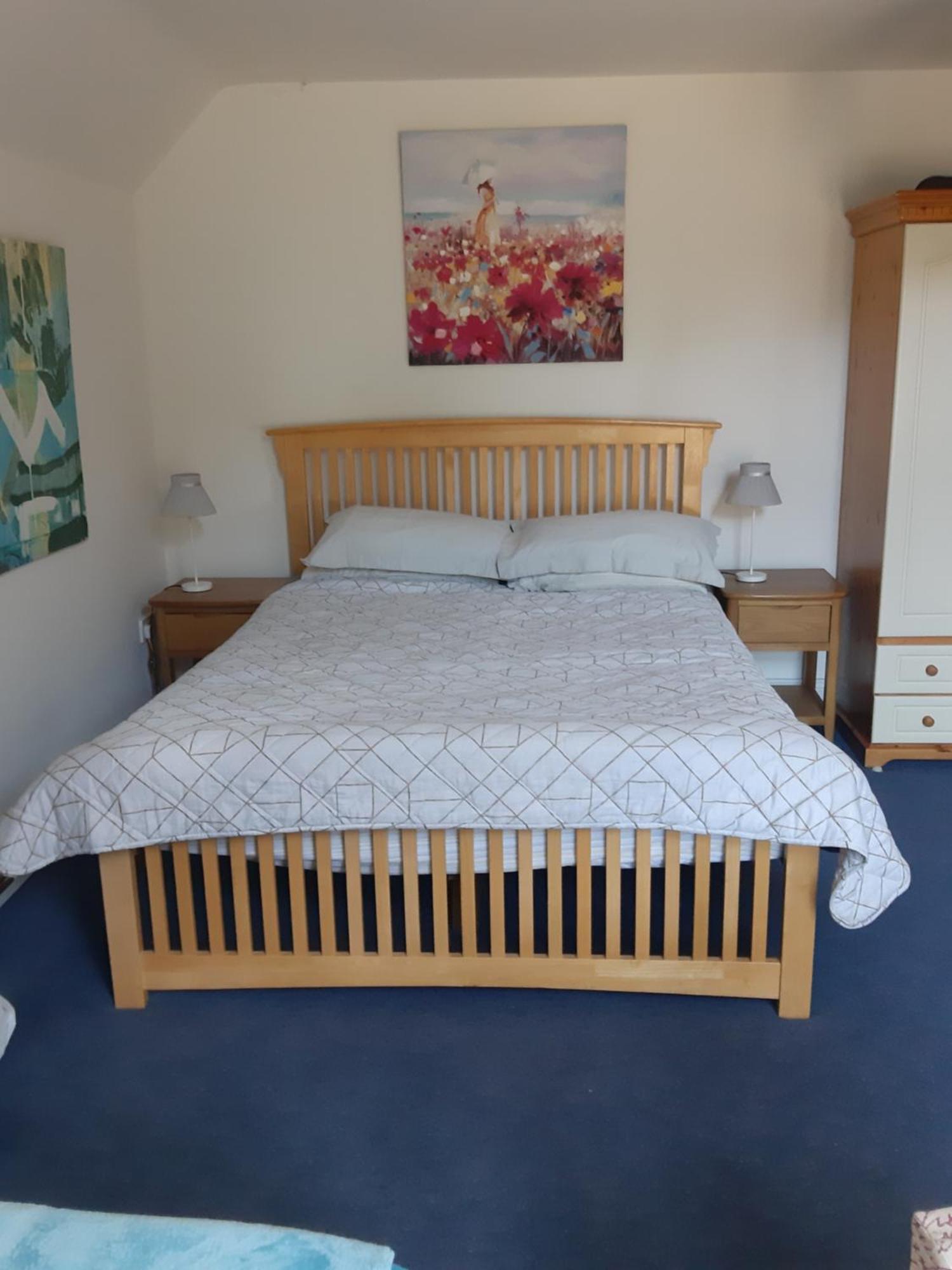 Kyleard Ryan Bed & Breakfast Monasterevin Eksteriør bilde
